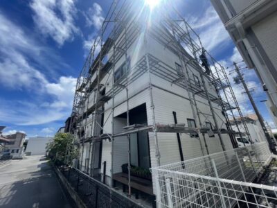 IMG_8837.jpeg